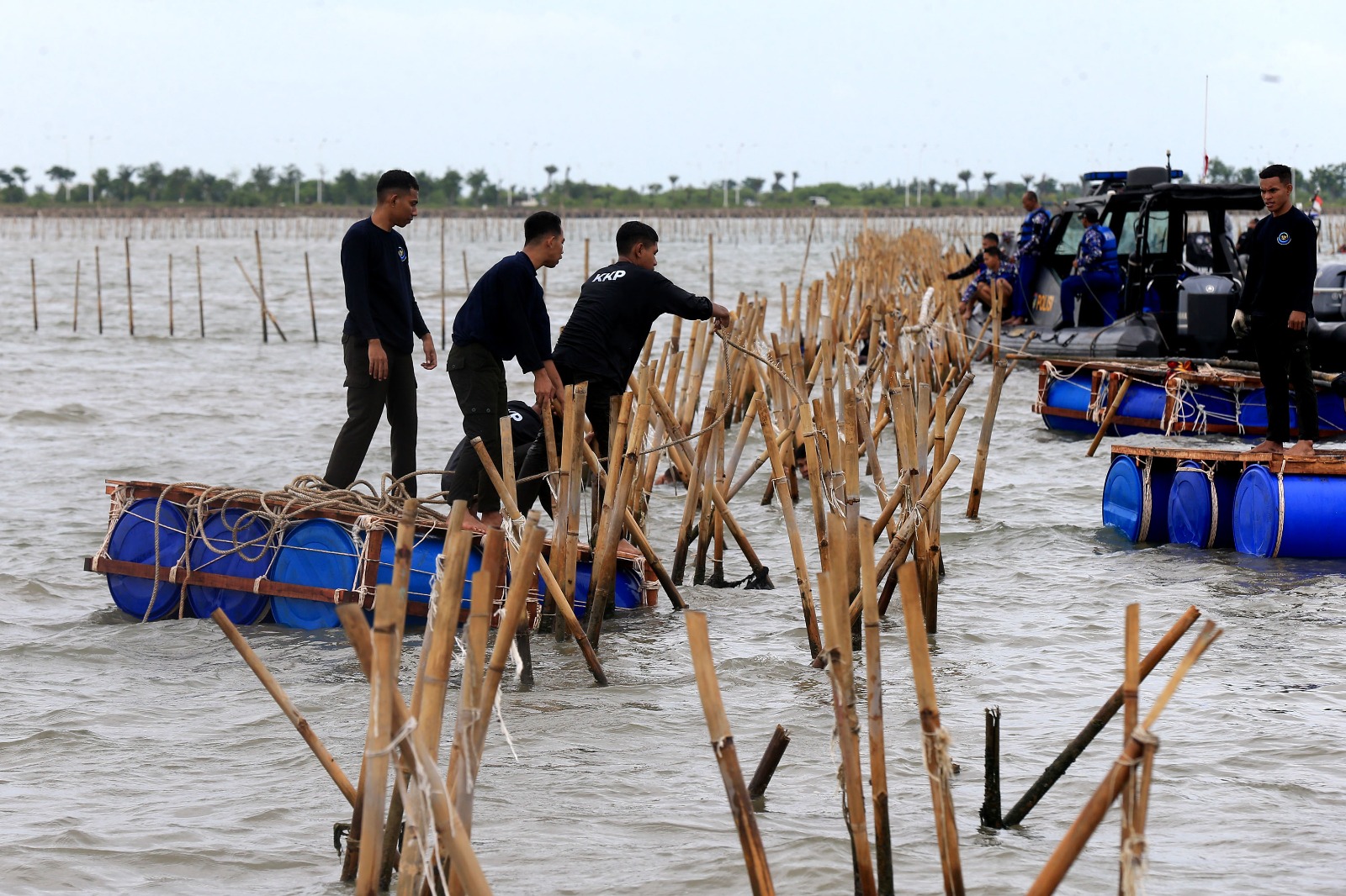 ribuan-personel-gabungan-dan-nelayan-bersama-sama-bongkar-pagar-laut-ilegal-di-tangerang