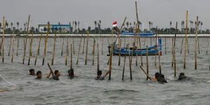 polisi-bekasi-selidiki-pemalsuan-dokumen-shgb-untuk-proyek-pagar-laut-periksa-10-saksi